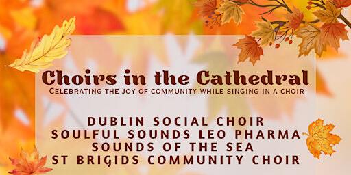 Choirs in the Cathedral! | St Patrick's Cathedral