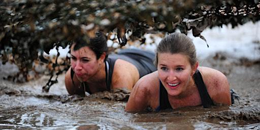 The Farm Fit Challenge | Laurabella The Barn, Kingsclere, Newbury, UK
