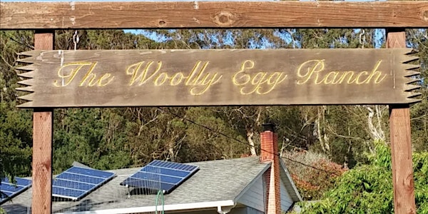 Woolly Egg Ranch Spring Tour | The Woolly Egg Ranch