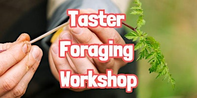TASTER Foraging Workshop in The Wirral (Cheshire) | Old Baths Picnic Area