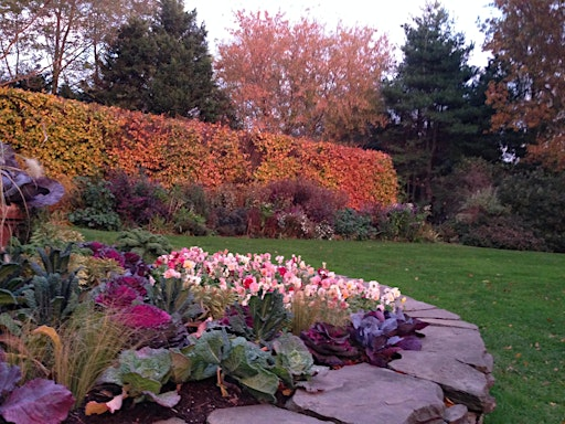 Botanical Curation with Dr. Jonathan Lehrer | The Landcraft Garden Foundation