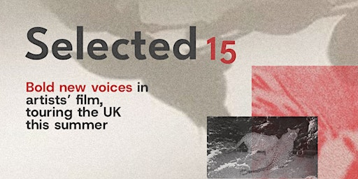 Film Screening: Selected 15 | Spike Island Associates Space