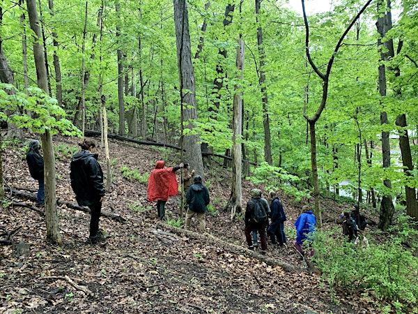 Foraging Walk with Dina Falconi | Red Fox Ravine