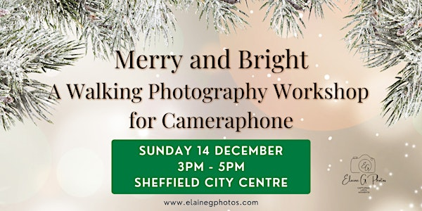 Merry and Bright - a Walking Photography Workshop for Camera Phone | Winter Garden