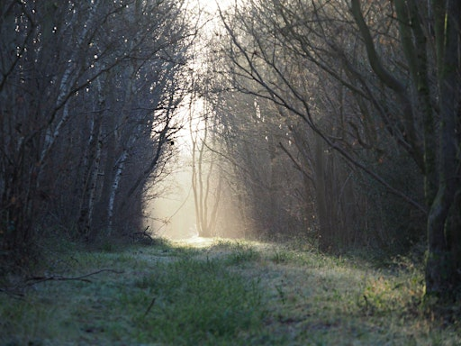 Children's folklore (Family event) NWT Foxley Wood | Norfolk Wildlife Trust Foxley Wood