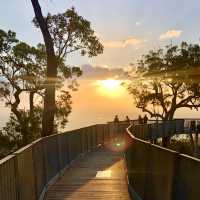 A Moment at Mount Archer (Rockhampton)