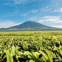 taman nasional kerinci Seblat
