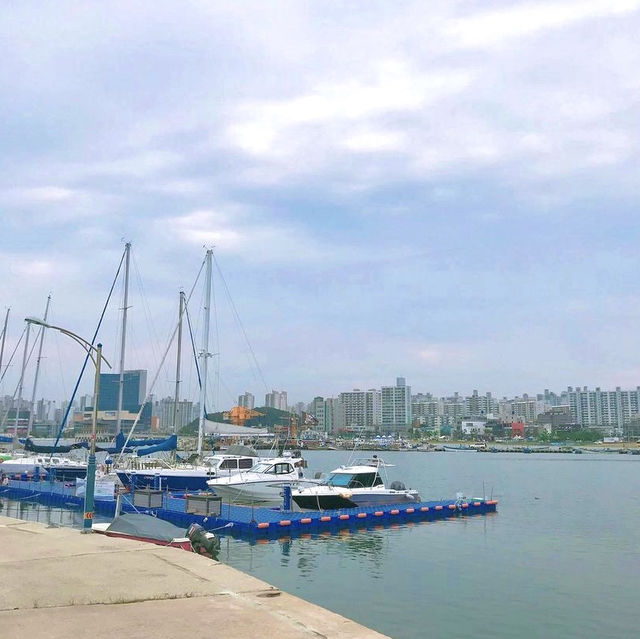 [포항] 추천 해수욕장, 영일대해수욕장