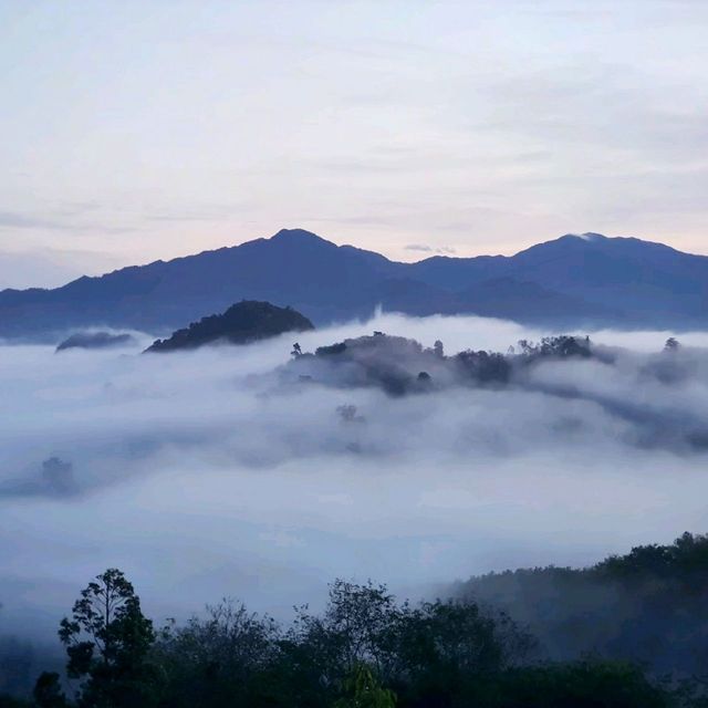 ทะเลหมอกสวยปังในนครศรี​ธรรมราช​