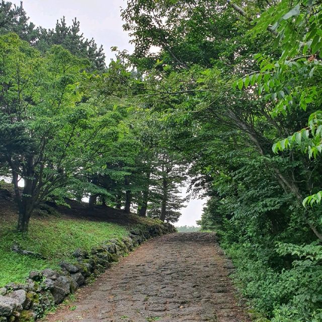 산책하기 좋은 곳 [산굼부리]