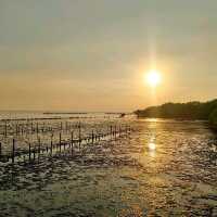 สะพานสายรุ้ง ชายทะลกาหลง
