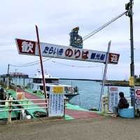 【新潟】佐渡島観光の名物！たらい舟