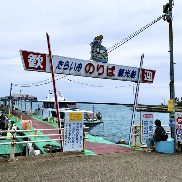 【新潟】佐渡島観光の名物！たらい舟