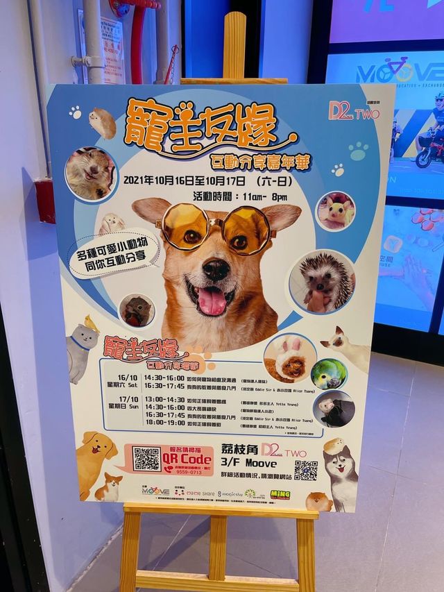 寵物嘉年華：與小動物近距離接觸互動