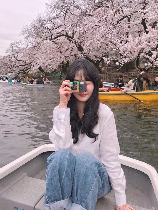 벚꽃 시즌엔 동화같은 "이노카시라 공원"으로 !