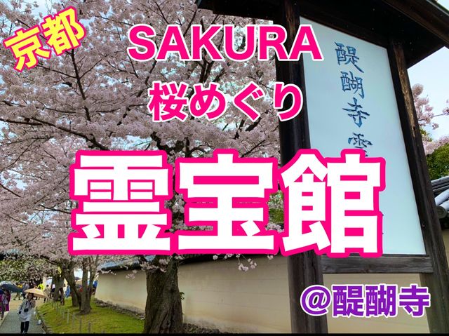 京都　SAKURA  桜めぐり❗️醍醐寺の霊宝館あたりの桜に感動❗️