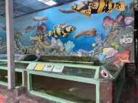  Monsters aquarium pattaya  สวนสัตว์ในร่ม