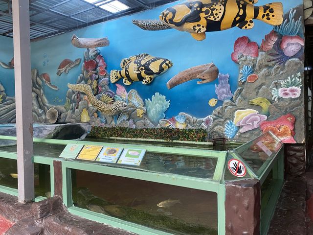  Monsters aquarium pattaya  สวนสัตว์ในร่ม