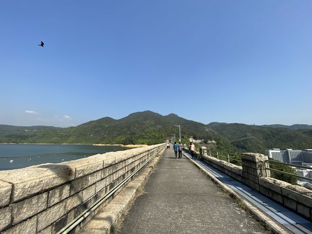 帶你近距離欣賞大欖水塘