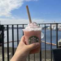  【横須賀】海の見えるスターバックスコーヒー