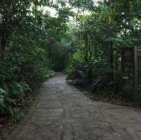 Nature @ Sungei Buloh Wetland Reserve