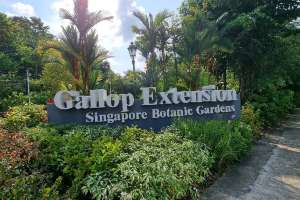 Singapore Botanical Garden(Gallop Extension)