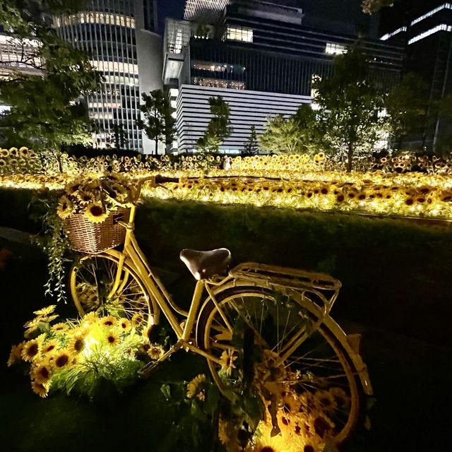 名古屋　大名古屋ビルヂングの夜のひまわり畑