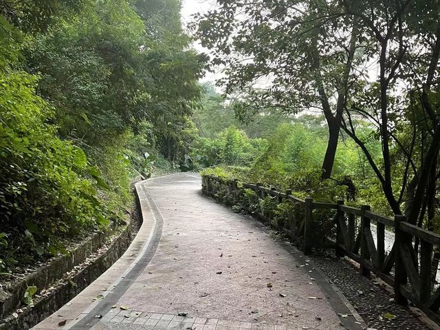 [深圳］鳳凰山遠足好去處