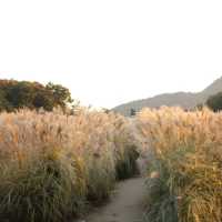 Nari Park Yangju