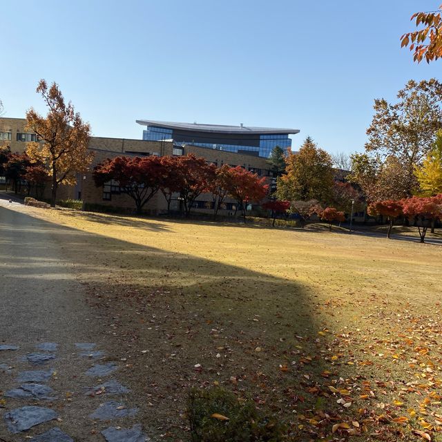 Autumn in Samsung Library