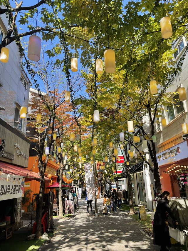 할로윈 즐기러 떠나요!!🎃