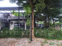 Curve cafe 