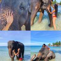 Work from hotel at Koh Chang💙