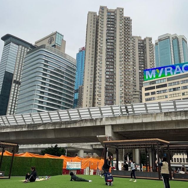 Victoria Harbour Hong Kong 