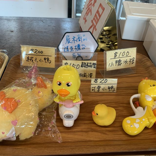 甲鳥園 親近可愛鴨鴨 乾淨 輕鬆的 養鴨農場