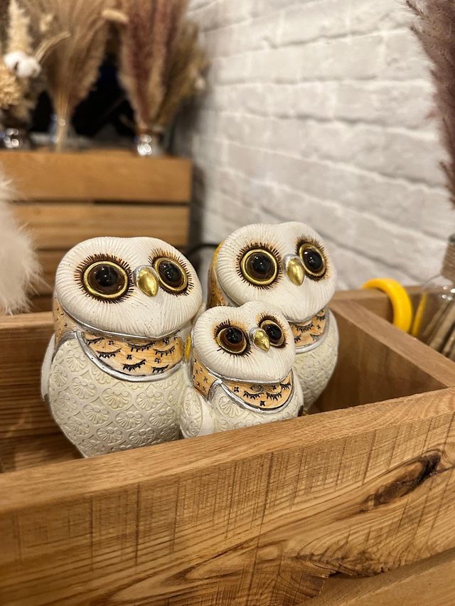 太子文青café🦉📸️聖誕🎄氣氛濃厚💛