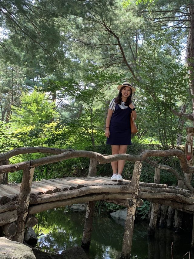 南怡島 景色怡人😘