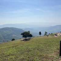 Akha FarmVille, Chiang Rai