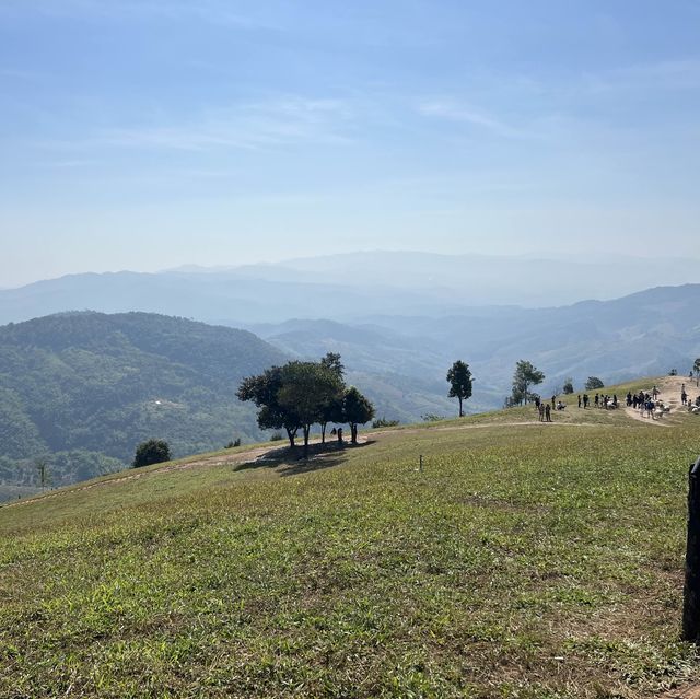 Akha FarmVille, Chiang Rai