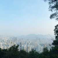 市區超級方便既行山路徑.獅子山
