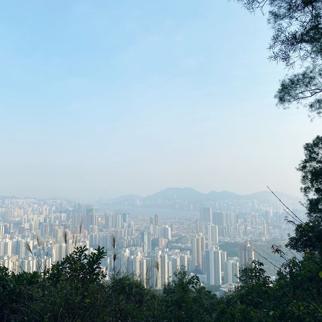 市區超級方便既行山路徑.獅子山
