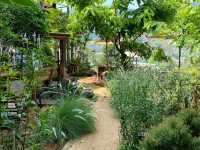 “Mori Natural Farm”