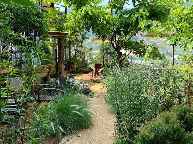 “Mori Natural Farm”