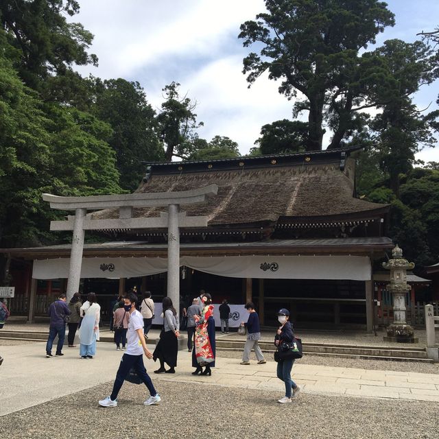 池と森とパワースポット