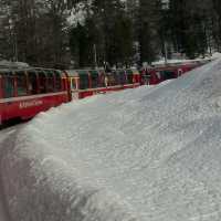 Bernina - most scenic train in the world 