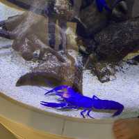 三重県•鳥羽水族館