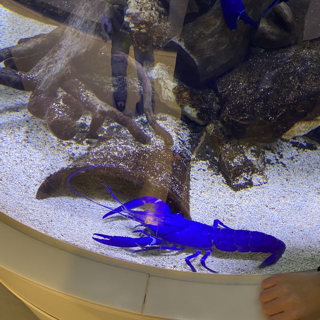 三重県•鳥羽水族館