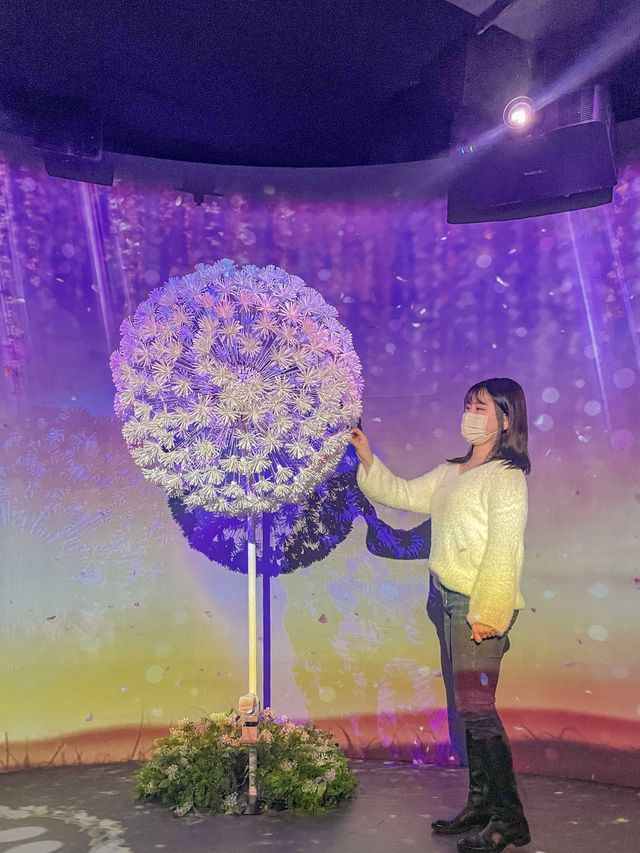 서울 인생샷 찍기 좋은 전시회🌷