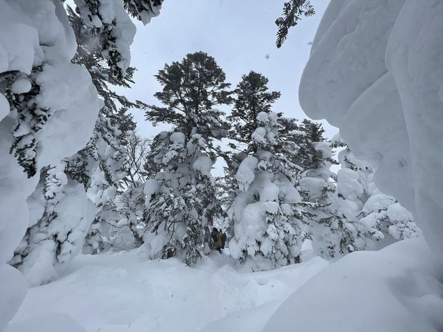 【宮城】雪上車で樹氷めぐり