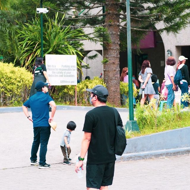 Be FINE with PINE TREES in Tagaytay!